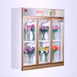 SG18ZA-3 door flower cabinet