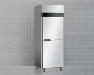 Double door vertical refrigerator
